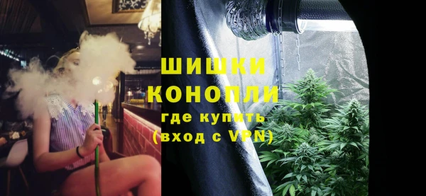 МДПВ Бронницы