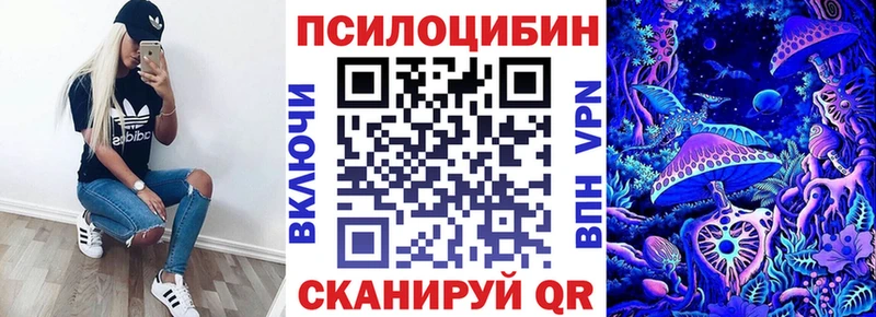 OMG зеркало  Магнитогорск  Псилоцибиновые грибы Cubensis 